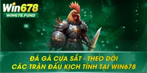 Đá Gà Cựa Sắt – Theo Dõi Các Trận Đấu Kịch Tính Tại WIN678